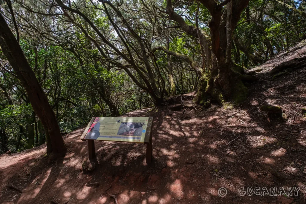 Réserve de biosphère d'Anaga - Tenerife